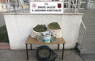 Bingöl’de 21 kilogram esrar ve kenevir tohumu ele...