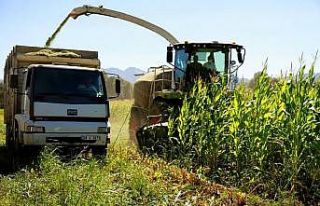 Bingöl’den ilk defa çevre illere silajlık yem...