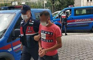 Bir gecede 6 evden hırsızlık yaptığı iddia edilen...