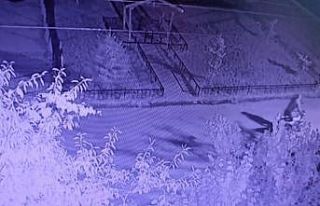 Bir gecede 8 motosiklet birden çaldılar