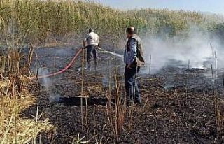 Birçok kuş türünün yaşadığı sulak alanda...