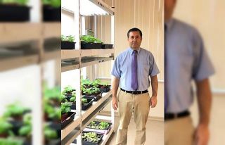Bitki hücrelerinden korona virüsün insanı enfekte...