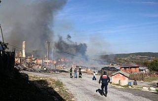 Bolu’da köyde çıkan yangın 12 evi kül etti