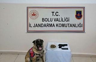 Bolu’da uyuşturucu operasyonu: 8 gözaltı