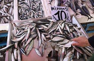 Bozkırda da hamsi fiyatı çakıldı