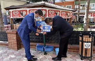 Bu ilçede sokak hayvanları aç kalmayacak