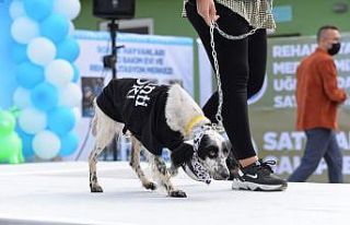 Bu kez onlar podyuma çıktı