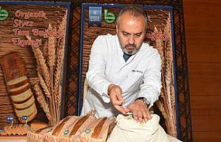 Buğdayın atası artık Bursa’da üretiliyor