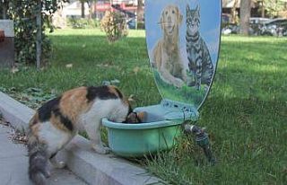 Burhaniye’de can dostları susuz kalmayacak