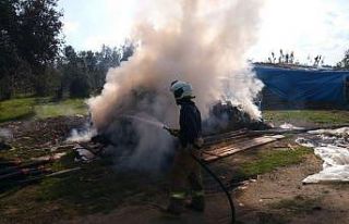 Burhaniye’de yonca balyaları yandı