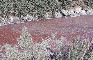 Bursa Kocasu deresinde çevre felâketi