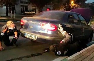 Bursa’da aracın motoruna sıkışan kedi 1 saat...