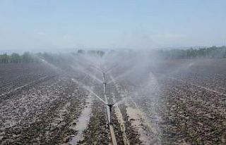 Bursa’da bu yıl içinde 622 bin dekar tarım arazisi...