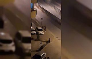 Cadde ortasında kadına attığı tokat mahalleliyi...