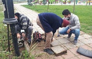 Caddelerdeki tabelalar ışıklandırıldı