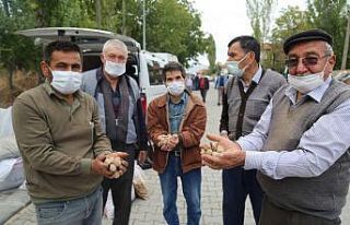Çameli’nin yerli ceviz ve fasulyesi ilgi görmeye...