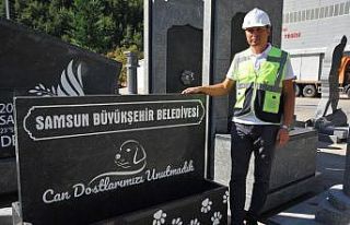 Can dostlar için doğal mama ve su kabı