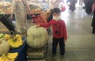 Çan pazarındaki 40 kiloluk kabak büyük ilgi gördü