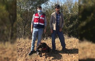 ‘Canı sıkıldı’ diye evini terk etti, 2 gün...