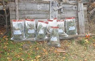Çankırı’da 4 kilogram esrar ele geçirildi