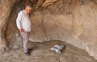 Canlısını hiç görmemişlerdi, ölüsü ile karşılaştılar