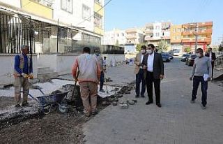 Canpolat çalışmaları denetledi