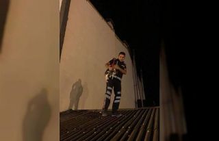 Çatıda mahsur kalan kediyi itfaiye kurtardı