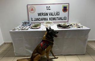 "Çaylak" ve "Dünya" uyuşturucuya...