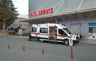 Ceviz ağacından düşen şahıs ağır yaralandı