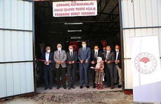 Ceviz İşleme Tesisi hizmete sunuldu