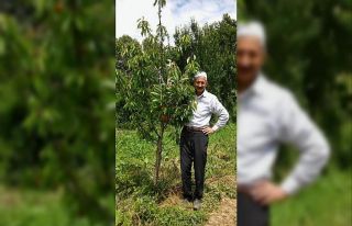 Ceviz toplarken ağaçtan düşen şahıs hayatını...