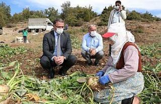 Çiftçi ile gönül bağı kuran Vali Balcı pancar...