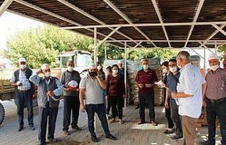 Çiftçilere 108 ton tohumluk buğday desteği