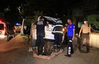 Cip önce pikaba sonra ağaca çarparak durabildi:...