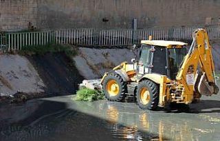 Çöp yatağına dönen Zergan Deresi temizleniyor