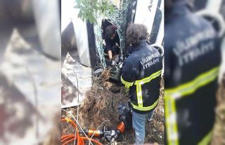 D-100’de lastiği patlayan kamyon karşı şeride...