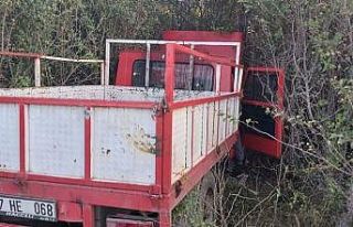 Daday’da yoldan çıkan kamyon ağaçlık alana...