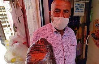 Dağdan topladıkları menengiçle geçimlerini sağlıyorlar