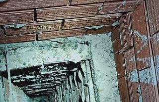 DAK ekiplerinden kuş kurtarma operasyonu