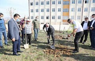 Darıca’da okul bahçelerine fidan dikiliyor