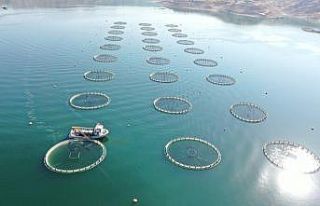 Denizi olmayan Kayseri’den Japonya ve Rusya’ya...