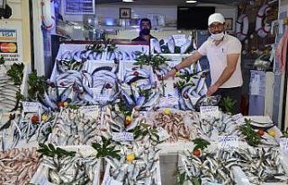 Denizlerdeki bolluk, balıkçı tezgahlarını şenlendiriyor