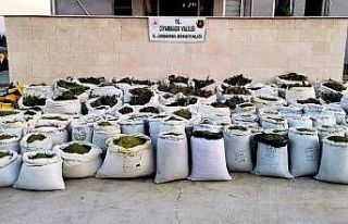 Diyarbakır’da 2 ton 628 kilo esrar ile 826 bin...