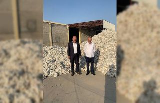 Diyarbakır’da ‘beyaz altın’ hasadına başlandı