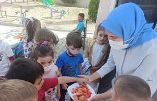 Doğal yaşamı anaokulunda öğreniyorlar