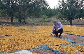 Doğu’da en fazla ihracat Malatya’dan gerçekleştiriliyor