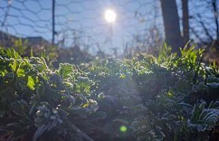 Doğu’da hava sıcaklığı mevsim normalleri üzerinde...