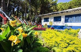 DokumaPark çiçek açtı