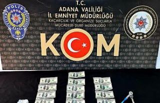 Dolar kalpazanları yakalandı