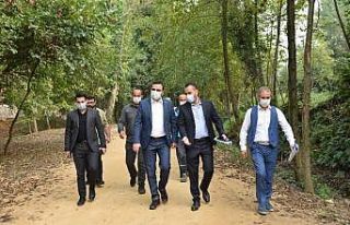 Döngel Vadisi mesire alanına yeni yürüyüş yolları...